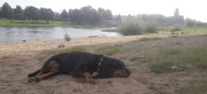 Fietstocht door NEderland