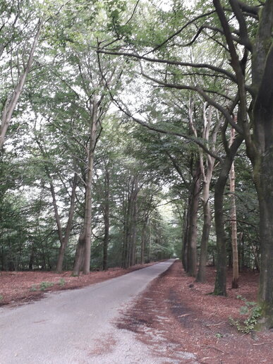 Let de Stigterpad