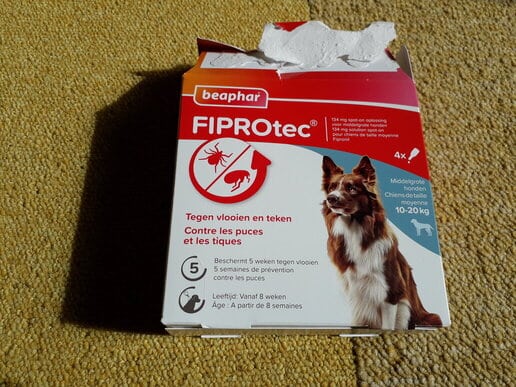 Hond mee op fiets